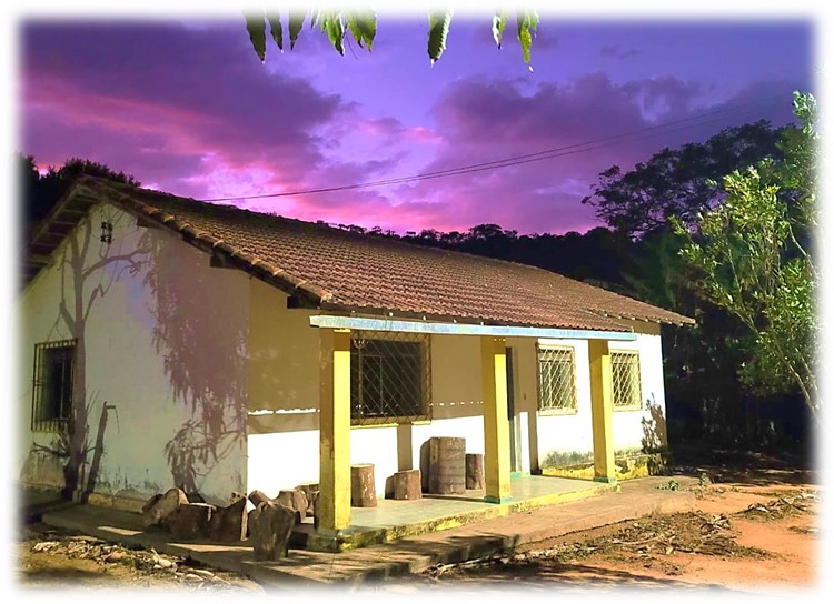 Imagem8