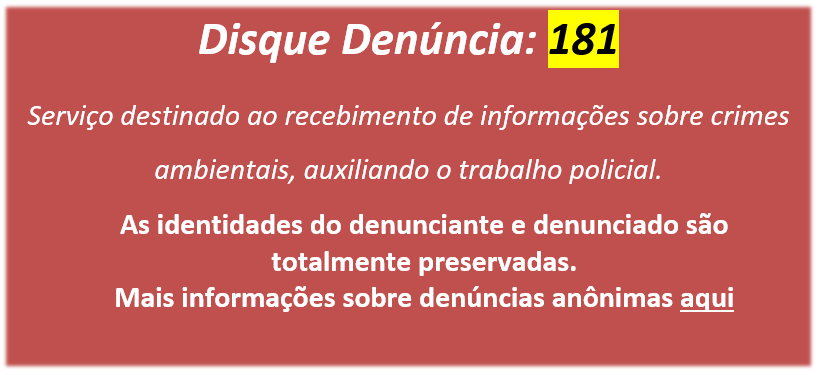 denuncia